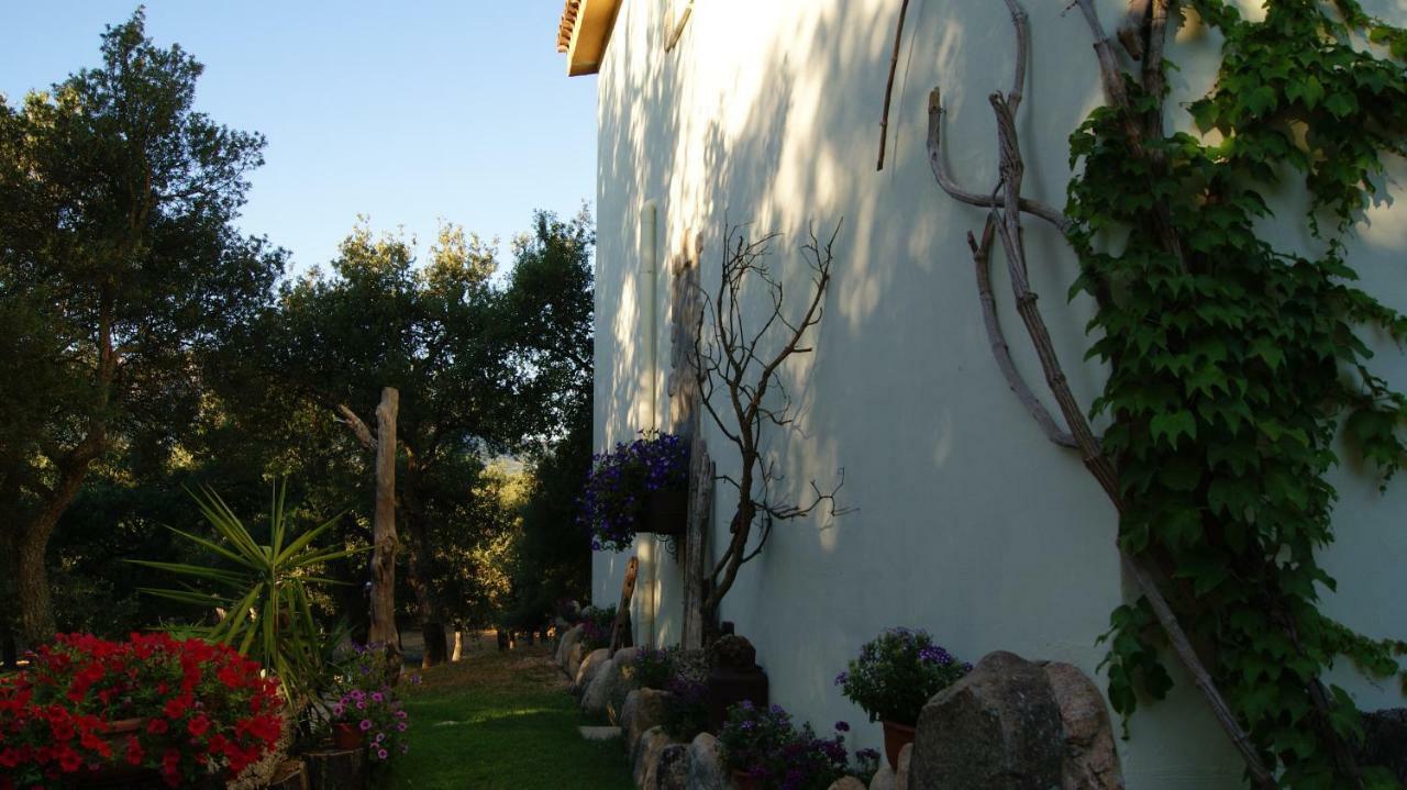 Le Sughere Padru Exteriör bild