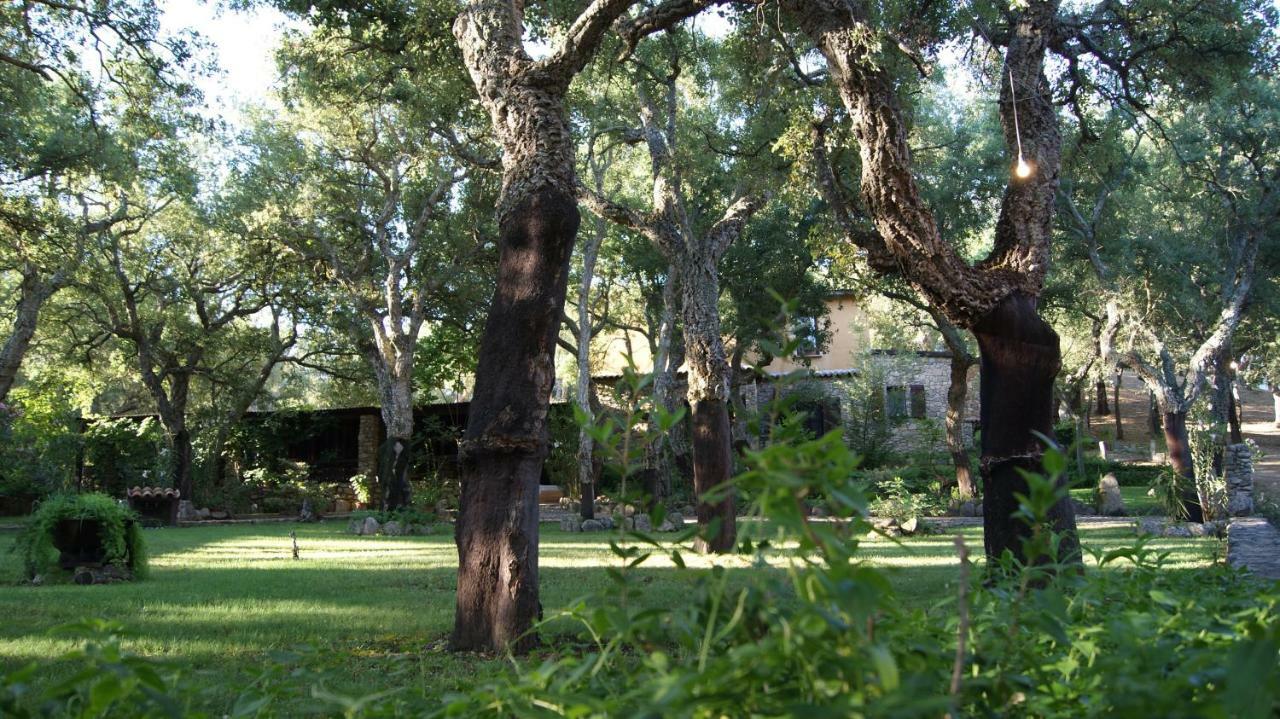 Le Sughere Padru Exteriör bild